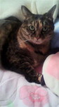 2010122610380000.jpg