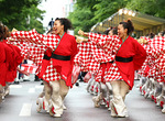 YOSAKOIソーラン祭り.jpg